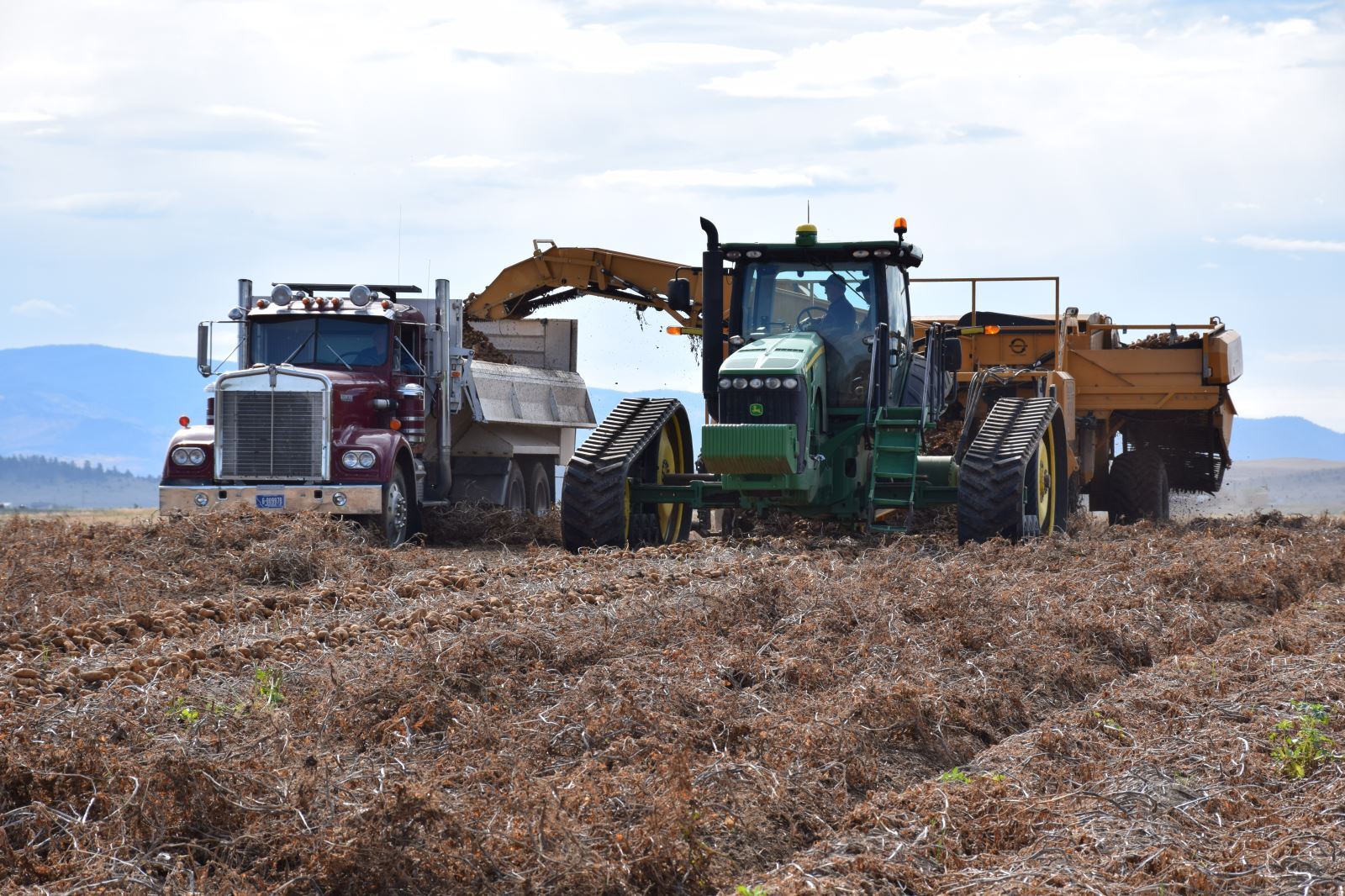 Planters - Planter Fillers - Seed Cutters - Seed Treaters - Live Bottom Boxes -
Live Bottom Trailers - Conventional Boxes - Conventional Trailers - Pilers - Stingers -
Scoopers - Conveyors - Clodhoppers - Dirt Eliminators - Harvesters - Windrowers -
Vine Shredders - Evenflos - Rolling Tables - Grading Equipments - Sizers - Washers -
Bagging Equipments - Irrigation Equipments - Cultivators - Hillers - Finger Weeders -
Rotary Hoes - S-Tine Cultivators - Plows - Packers - Heavy Cultivation -
Automatic Trucks - Wheel Loaders - Construction Equipments - Tractors - Miscellaneous - Telescopic Piler - Crop Cart - Natural Rubber Web Belts - Drive Over Unloading Conveyors -  Peanut Conveyors - Rotary Hoes - Rollover Plows - Web Belts - Drive Over Conveyors - Natural Rubber Sizing Web Belts