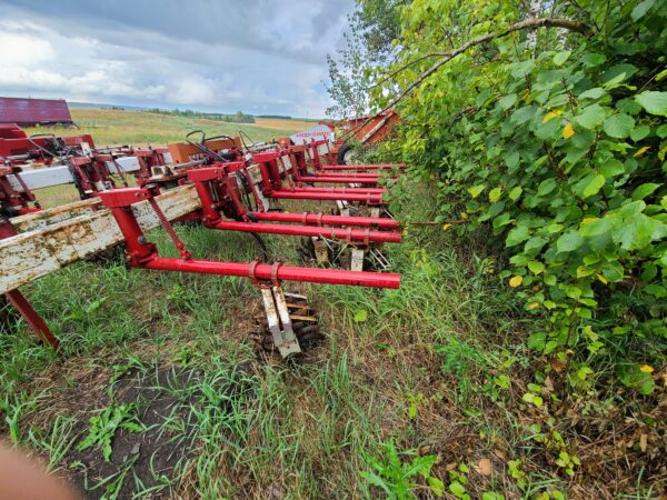 Lilliston Cultivator Equipped with Row Finder